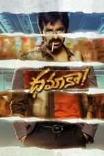 Dhamaka movie Download on Sat torrent Movies