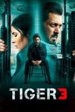 Tiger 3 Movie , Salman Khan, Katrina Kaif